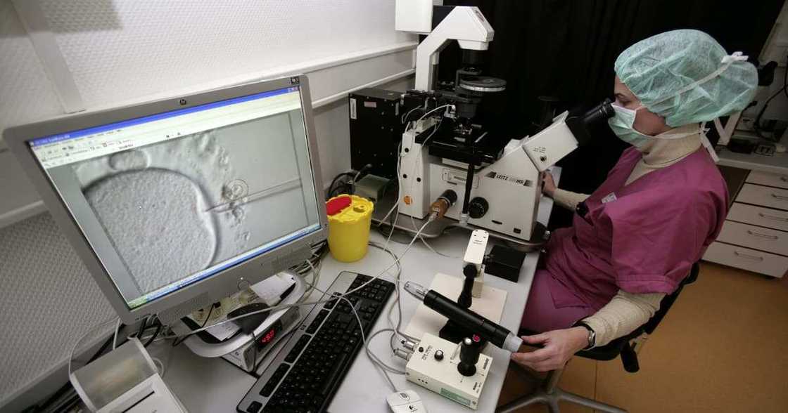 Fertility treatment, virgin, world news Fertility treatment, virgin, world news