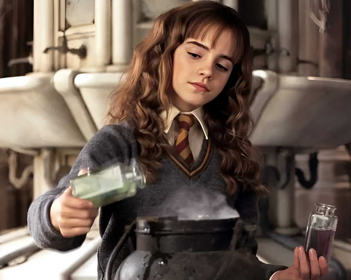 Hermione Granger of Harry Porter series