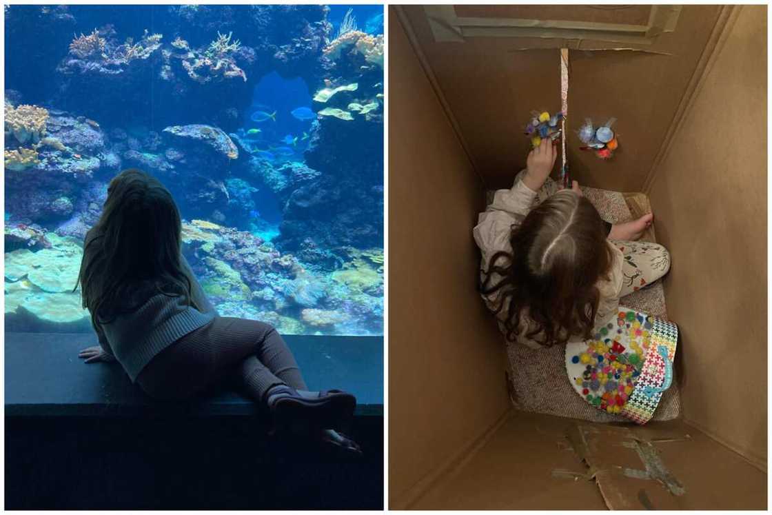 Caroline Estabrook Caroline Estabrook