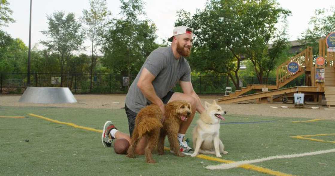 Travis Kelce and his dogs, Rambo and Chauncey, pose for a photo Travis Kelce and his dogs, Rambo and Chauncey, pose for a photo