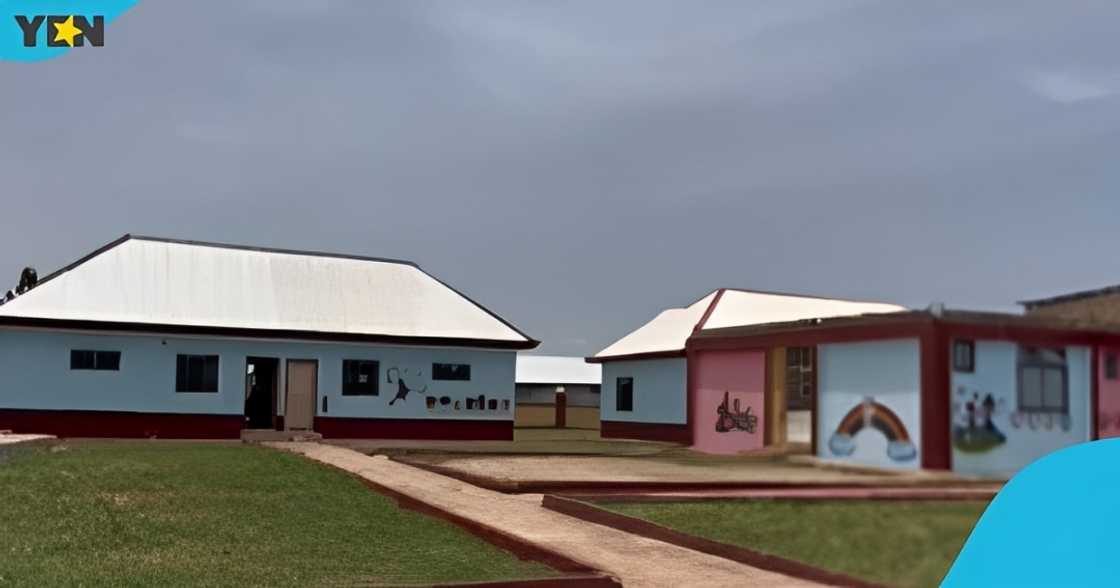 Vida Opoku Sarpong, US-based Ghanaian lady, STEM school, Nkronza, basic education. Vida Opoku Sarpong, US-based Ghanaian lady, STEM school, Nkronza, basic education.