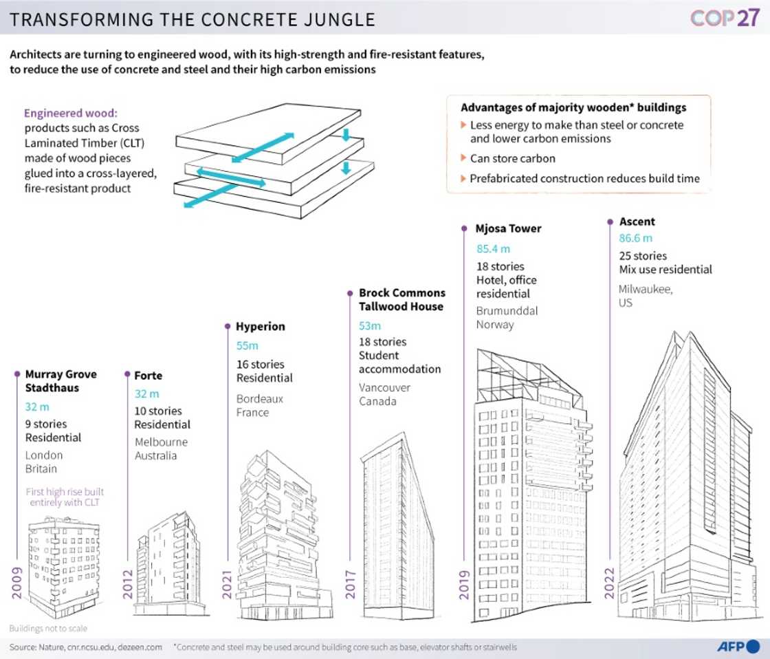 Transforming the concrete jungle