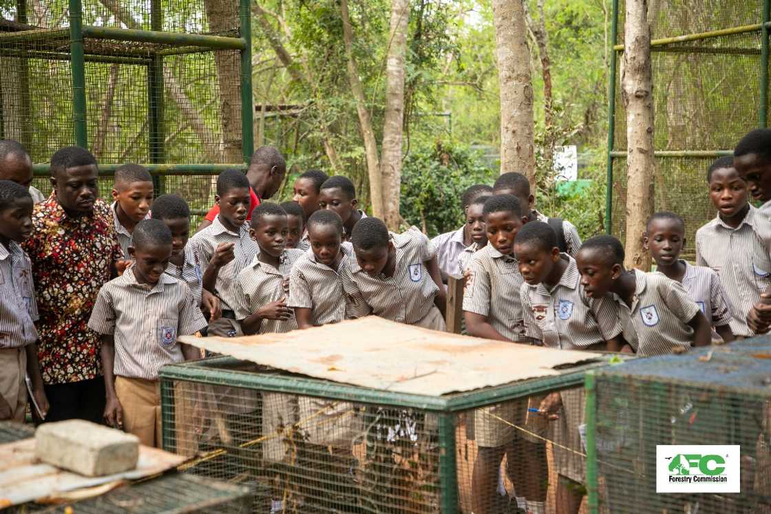 Illegal Mining, Forestry Commission, Students, Western Region Illegal Mining, Forestry Commission, Students, Western Region