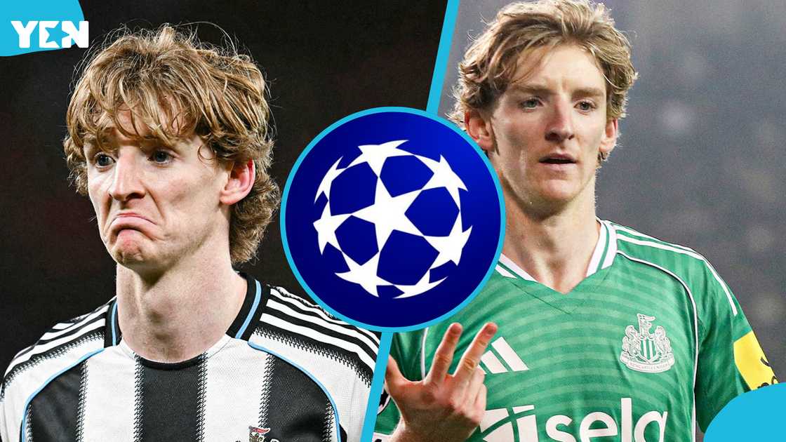 Anthony Gordon, Newcastle United, Newcastle vs Qarabağ, Champions League record, fastest hat-trick Champions League, English player hat-trick record, Newcastle 5-0 Qarabağ, Anthony Gordon four goals, Gordon Champions League stats