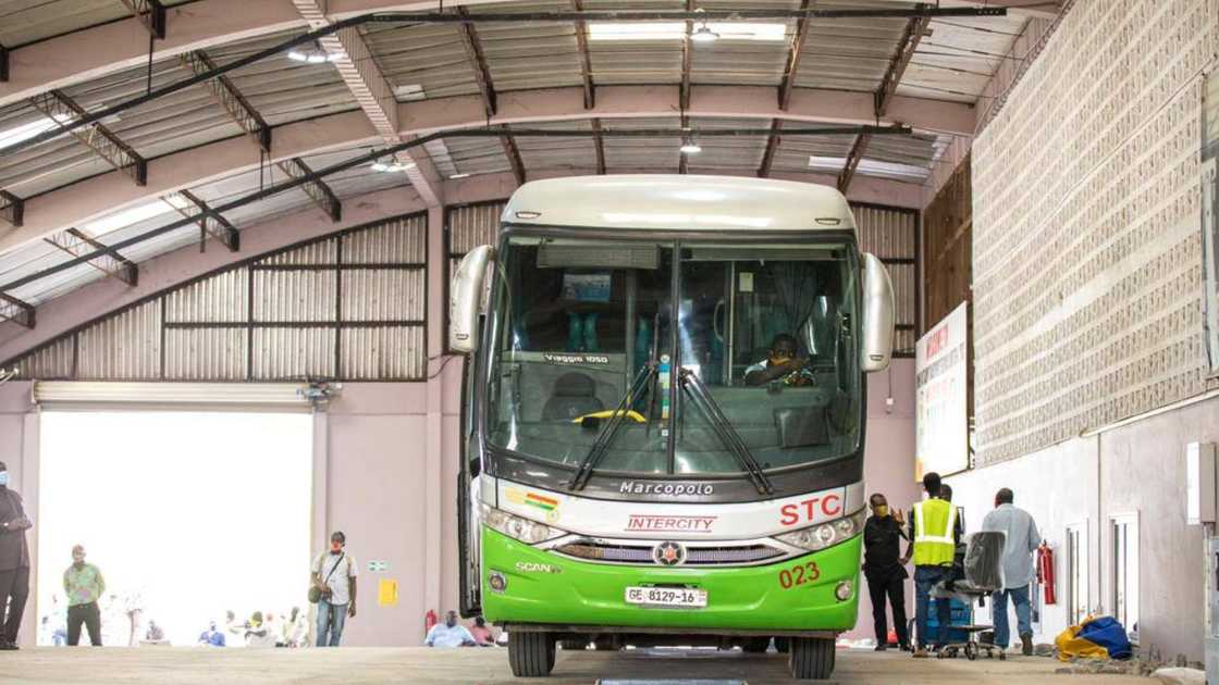 Stc Bus STC Ghana: how to book, bus schedules, fares, online ticketing ...