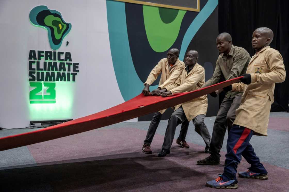 Analysts hope that African leaders can define a shared vision of the continent's green development Analysts hope that African leaders can define a shared vision of the continent's green development