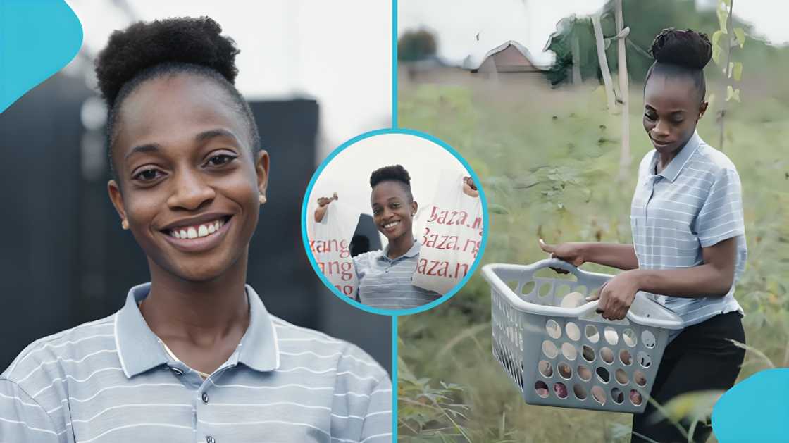 Ebubechukwu launches Baza ng to combat post-harvest losses among smallholder farmers in Nigeria, agriculture, food security, market, farm, technology