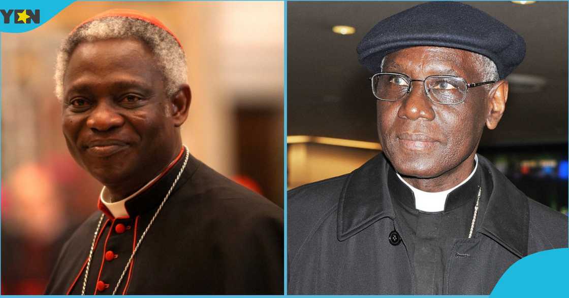 Cardinal Peter Turkson, Pope Francis, The Vatican, Bishop Of Rome, Catholic Church, Lung Disease, Rome Cardinal Peter Turkson, Pope Francis, The Vatican, Bishop Of Rome, Catholic Church, Lung Disease, Rome