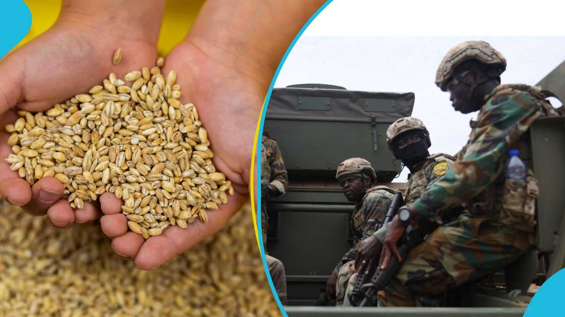 Soldiers To Be Sent To Borders To Prevent Grain Smuggling Soldiers To Be Sent To Borders To Prevent Grain Smuggling