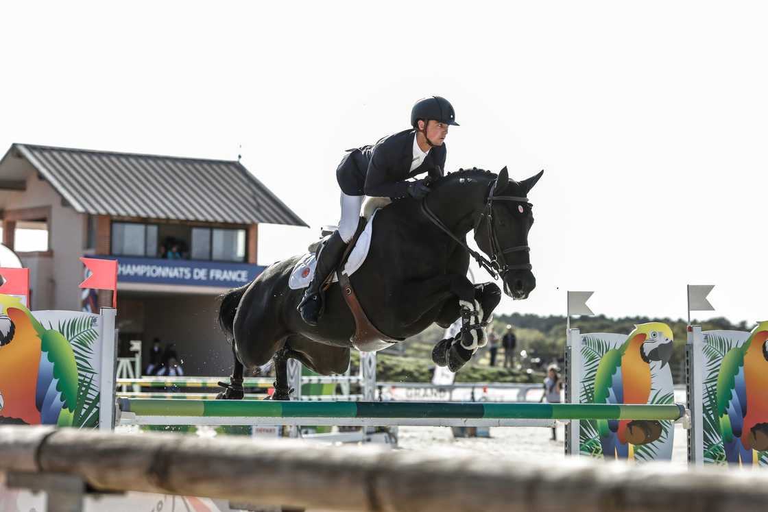 black horse names black horse names