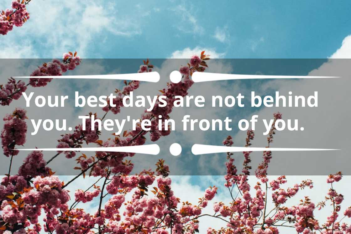 happy tuesday happy tuesday