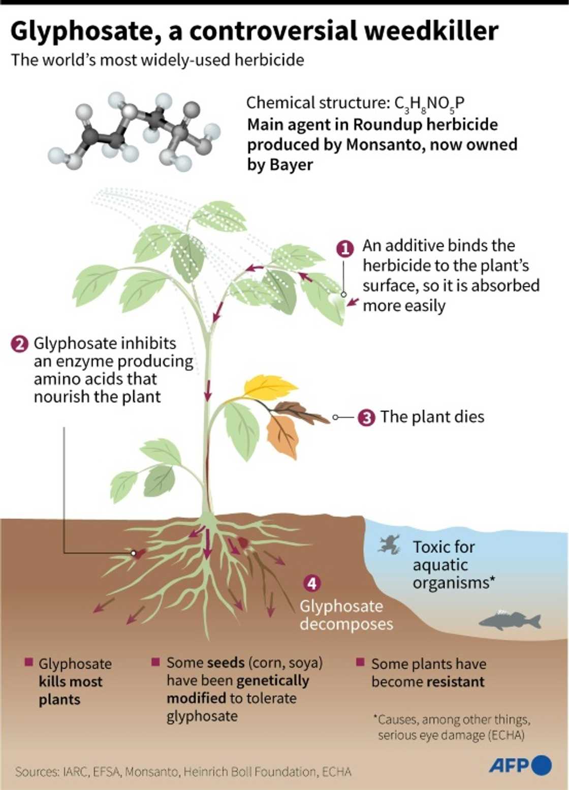 Glyphosate: a controversial weedkiller Glyphosate: a controversial weedkiller