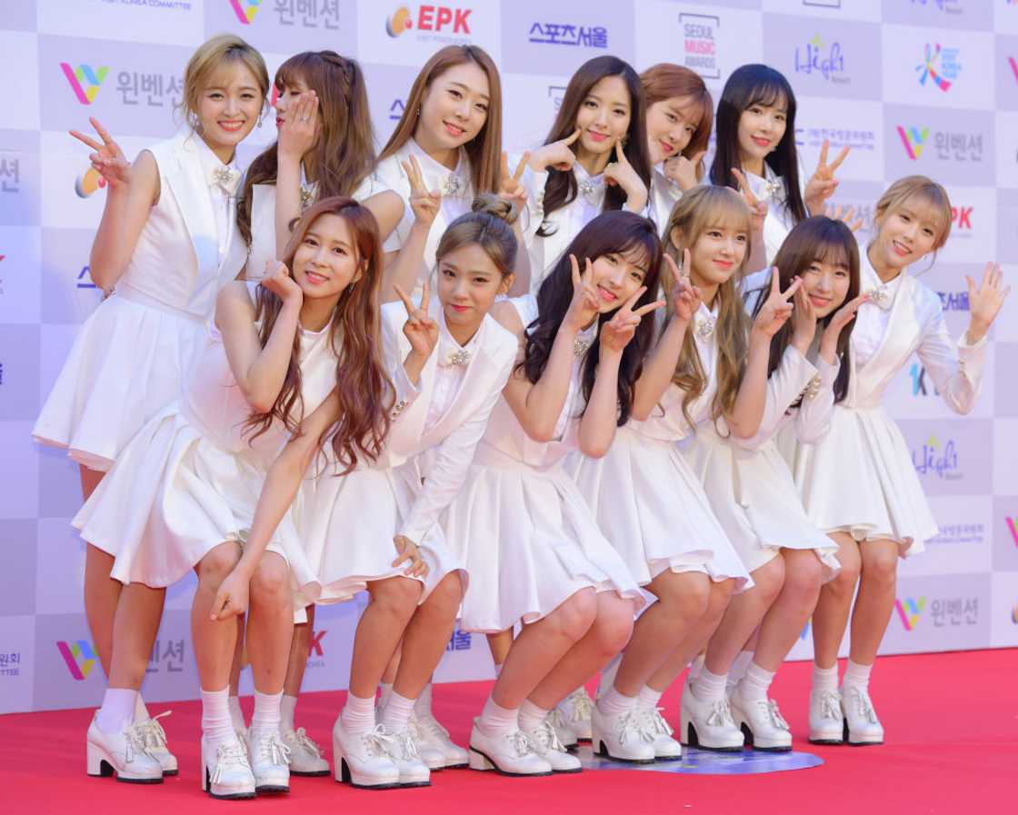 WJSN K-pop group members