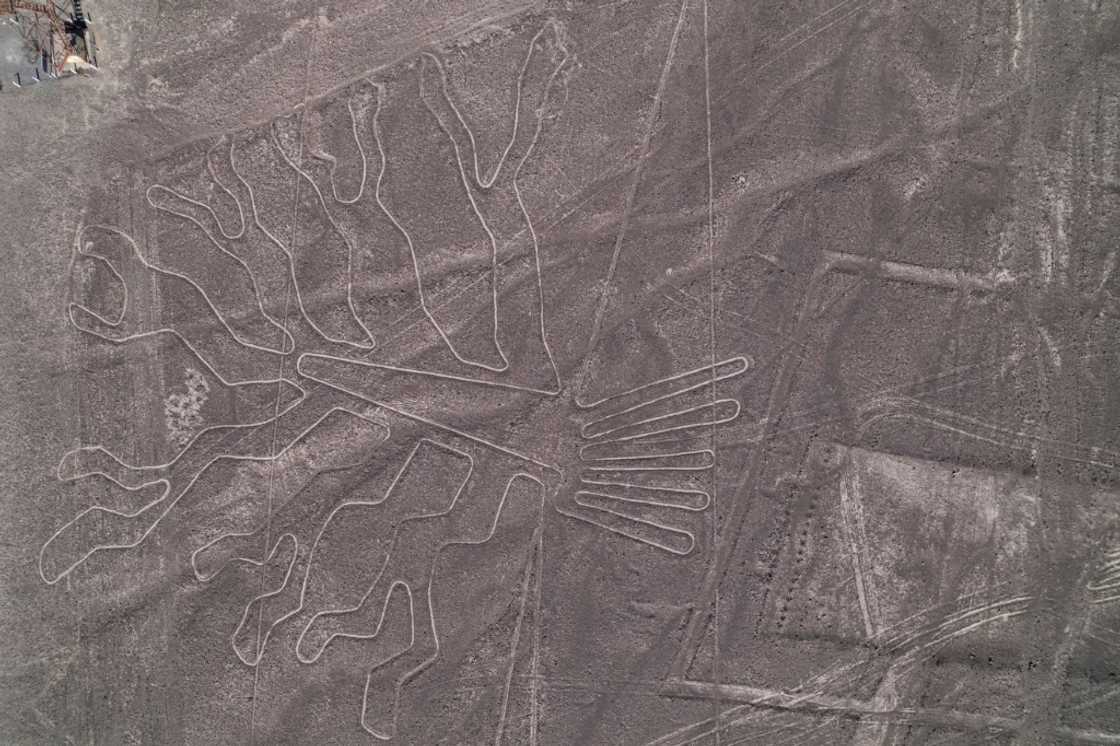 The aqueducts are believed to have been built by the same people responsible for Peru's famous Nazca lines -- a series of geometric and animal figures carved into the desert which can only be appreciated from the sky