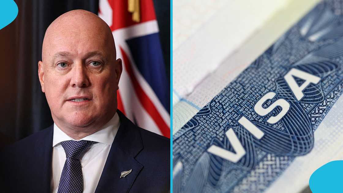 New Zealand immigration, visa application fee waiver, foreign nationals visa exemptions, refugee visa New Zealand, protected persons immigration, family violence victim support, bilateral agreements New Zealand, visa eligibility verification
