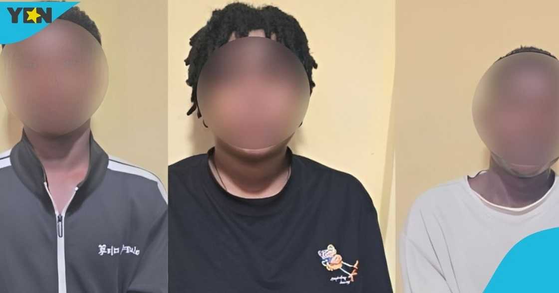 Speaker of Parliament, Alban Bagbin, the Inspector General of Police (IGP), Christian Tetteh Yohuno, Cyber Vetting and Enforcement Team, social media, impersonation.