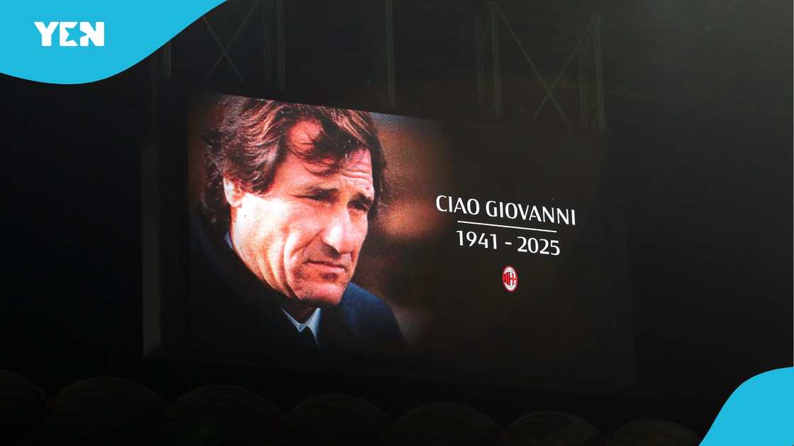 Giovanni Galeone, Italian football mourns, Galeone dies at 84, Italy mourns Galeone, former Napoli boss dies, Napoli, Udinese, Serie A. Giovanni Galeone, Italian football mourns, Galeone dies at 84, Italy mourns Galeone, former Napoli boss dies, Napoli, Udinese, Serie A.