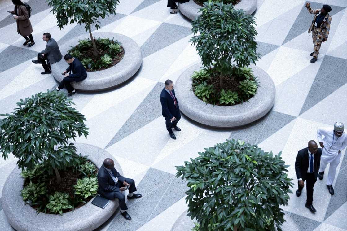 The IMF expects global growth to reach 3.2 percent this year, before cooling slightly to 3.1 percent in 2026 The IMF expects global growth to reach 3.2 percent this year, before cooling slightly to 3.1 percent in 2026