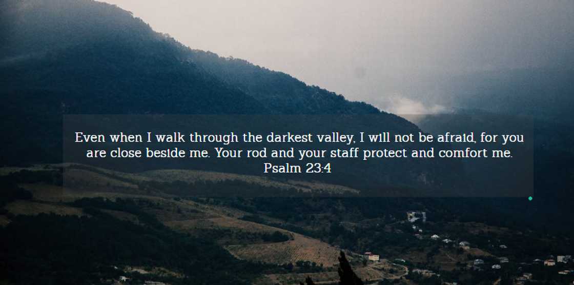 words of wisdom words of wisdom