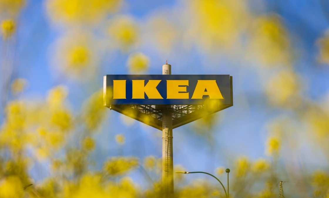 Profits rebounded at Ikea from the previous year which was affected by the cost of pulling out from Russia Profits rebounded at Ikea from the previous year which was affected by the cost of pulling out from Russia