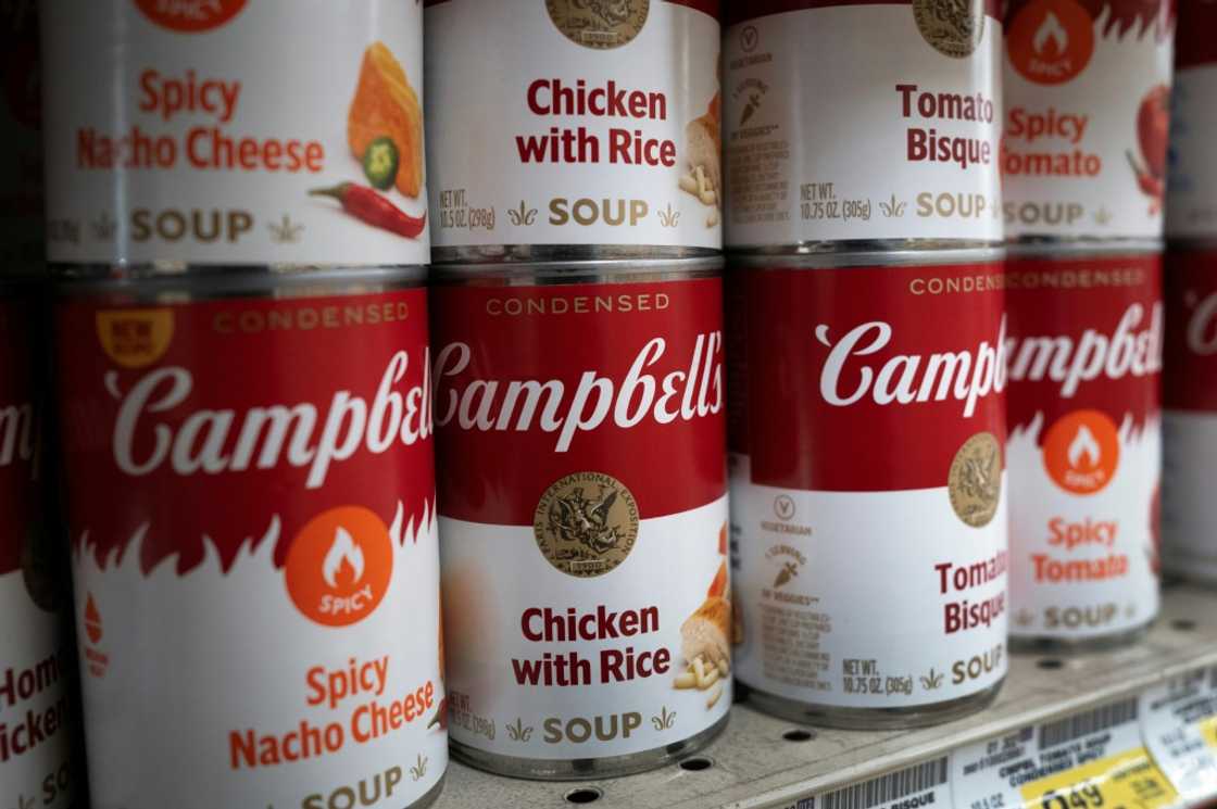 The Campbell's brand enjoys iconic status at home and abroad, and is best known for its line of canned soups which Andy Warhol made the subject of a series of paintings that became synonymous with the artist