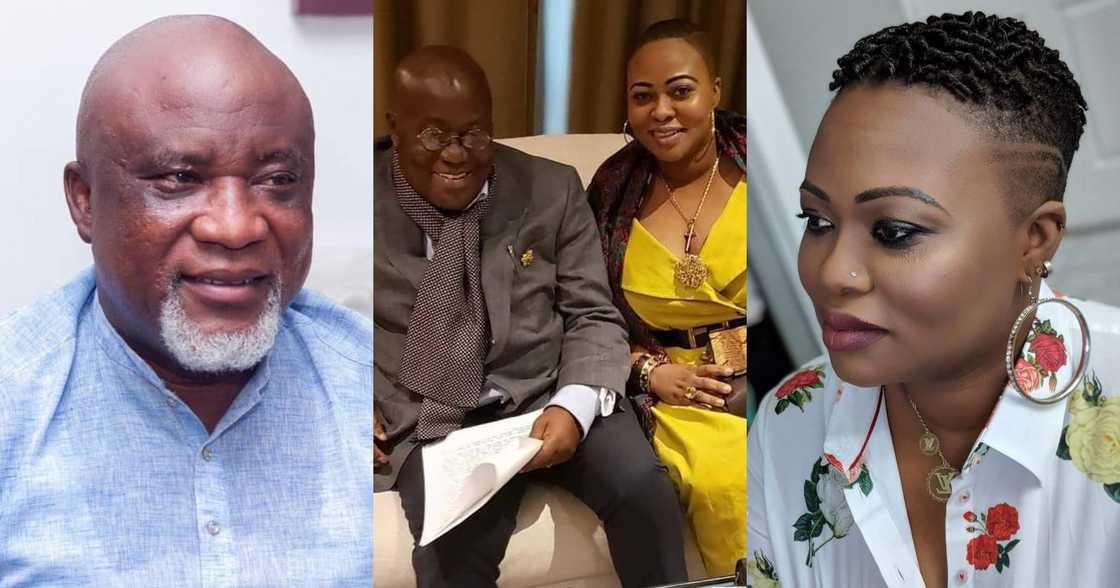 Serwaa Broni, Akufo-Addo, Hopeson Adorye