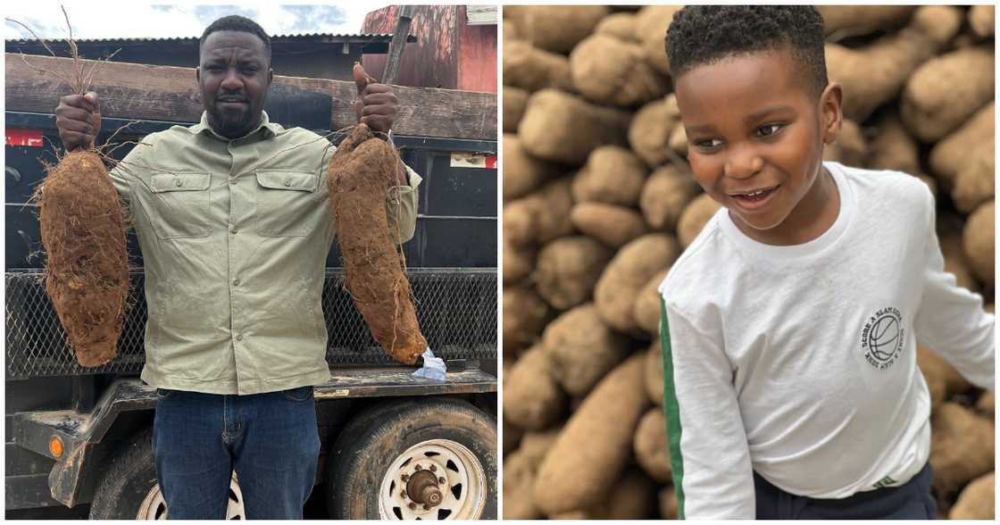 John Dumelo Grants Son's Wish to Visit Yam Farm as the Young Lad Celebrates 4th Birthday John Dumelo Grants Son's Wish to Visit Yam Farm as the Young Lad Celebrates 4th Birthday