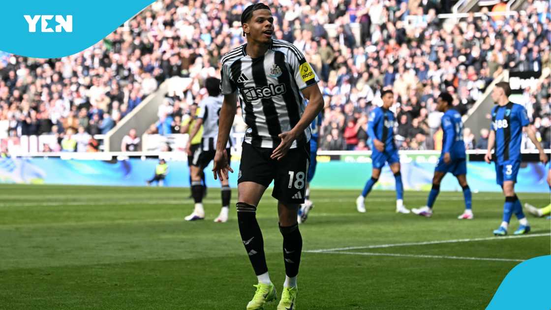 William Osula Scores vs Bournemouth, Celebrates with Kakalika Dance