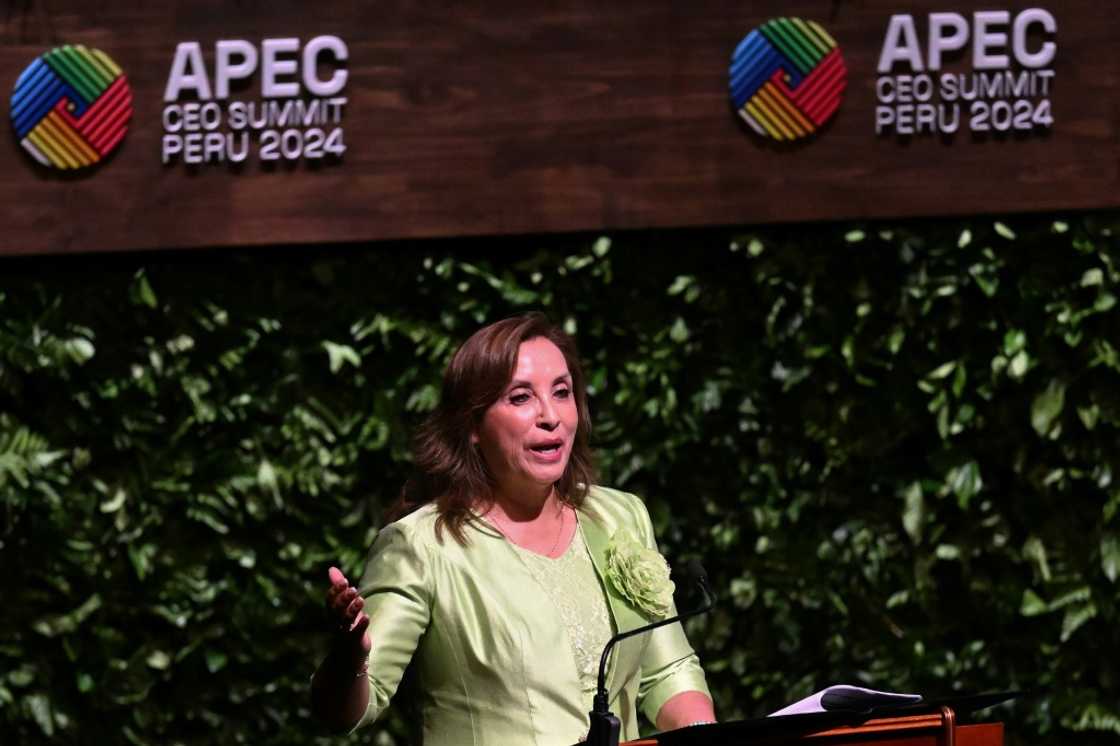 Peru's President Dina Boluarte opened an APEC CEO Summit Peru's President Dina Boluarte opened an APEC CEO Summit
