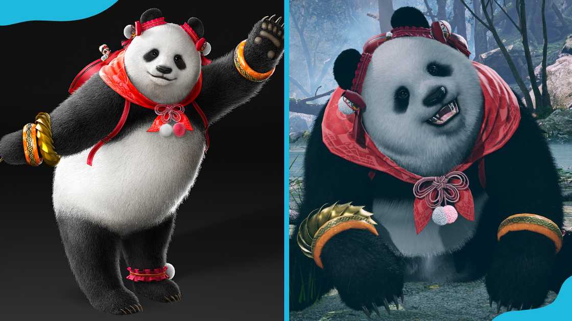 Panda is standing wearing gold bracelets and a red ribbon around its neck