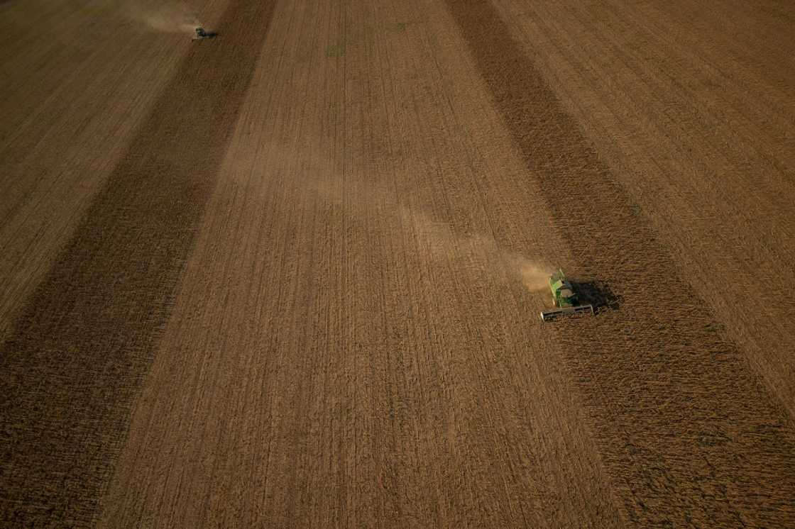 The Ukrainian agriculture ministry said the deal would 'speed up transit through Poland' The Ukrainian agriculture ministry said the deal would 'speed up transit through Poland'
