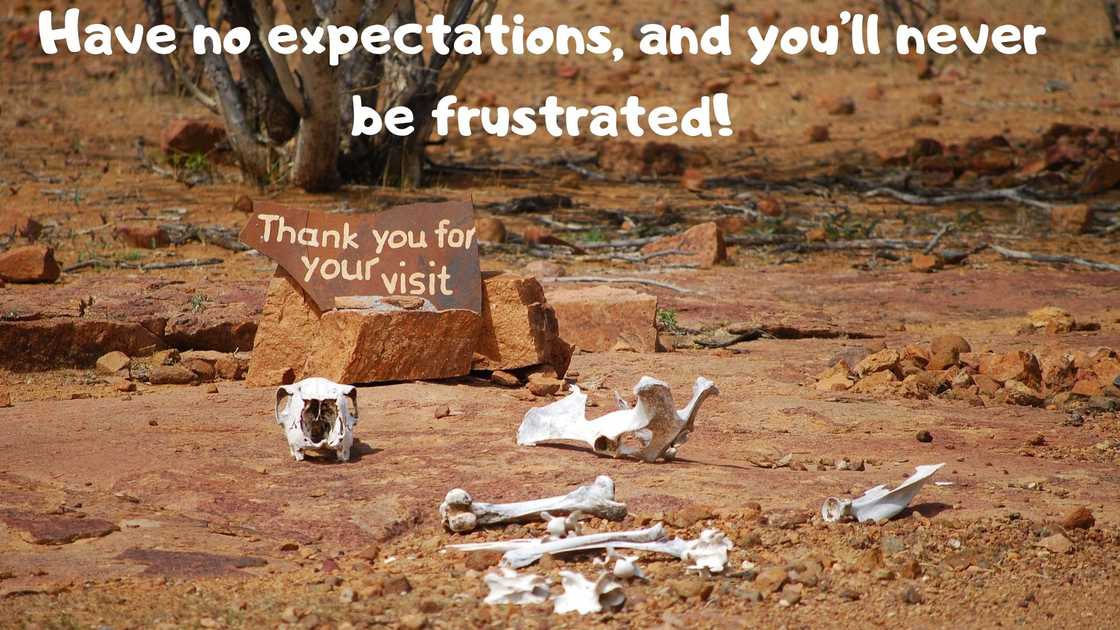 Funny sarcastic quotes about life Funny sarcastic quotes about life