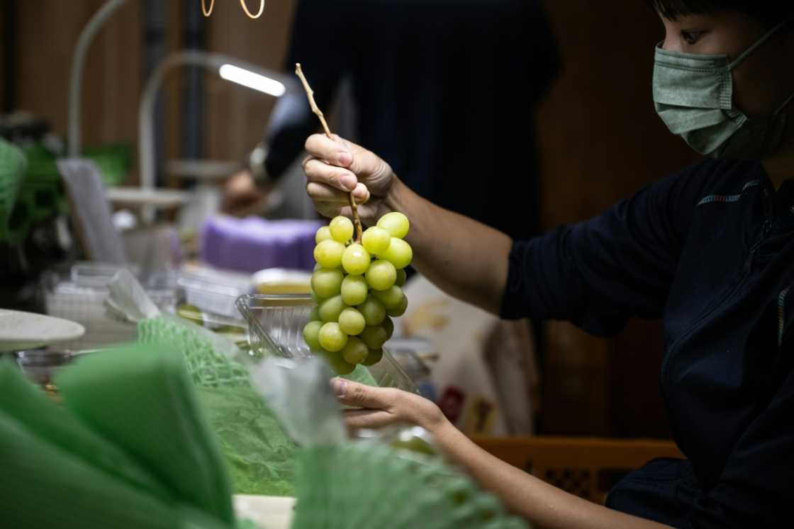 In the view of Japanese farmers and officials, the chunky emerald-green Shine Muscat, one of many fruit varieties created by Japan, has been 'stolen' by China and South Korea