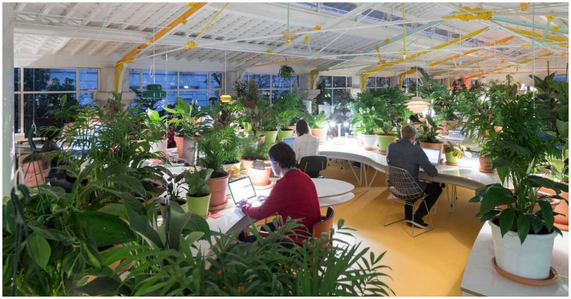 Second Home, Lisbon Second Home, Lisbon