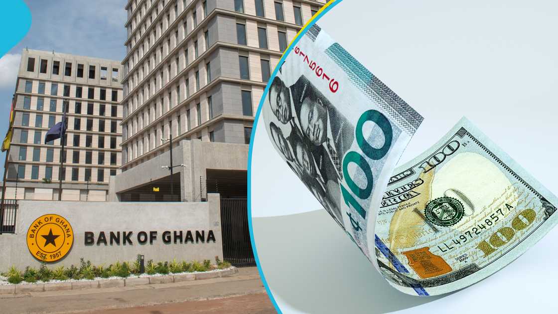 Samuel Asiamah, a forex analyst, cedi, dollar, hoarding dollars, Bank of Ghana