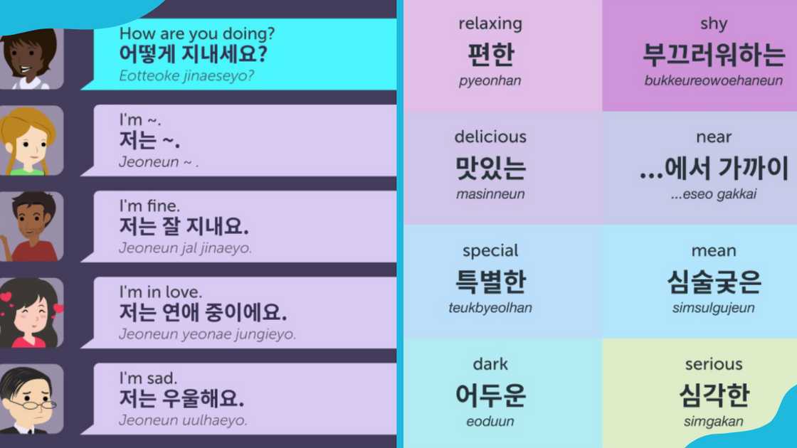 Korean words and sentences and their English translations
