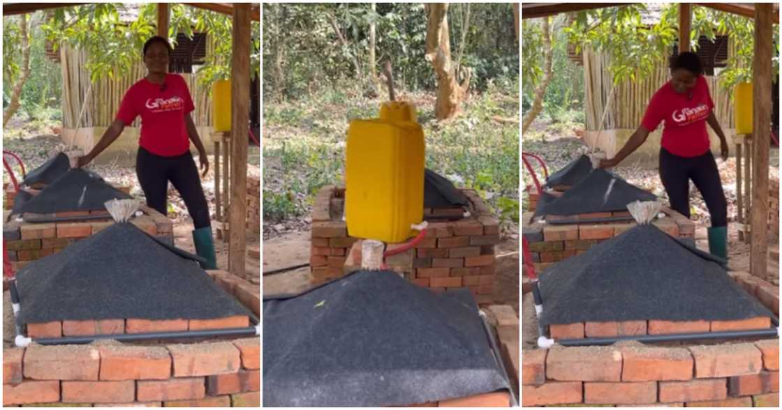 UCC PhD student builds traditional refrigerator to store vegetables.