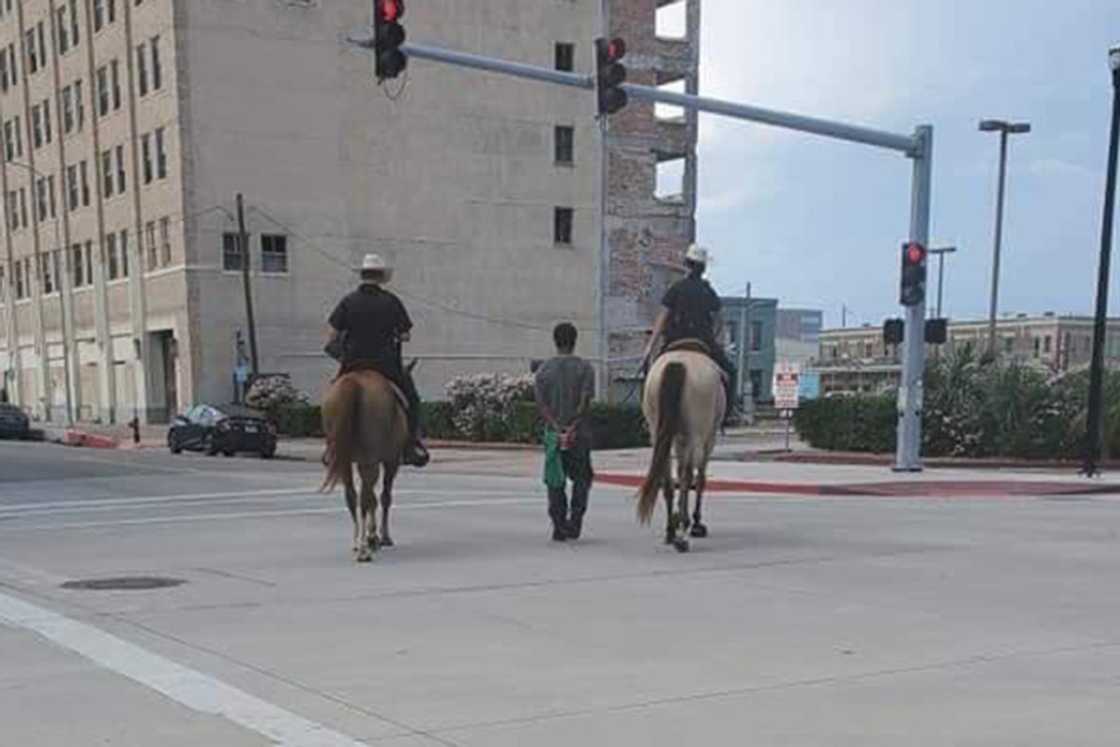 Police boss apologises after officers on horseback parade tied up suspect through town