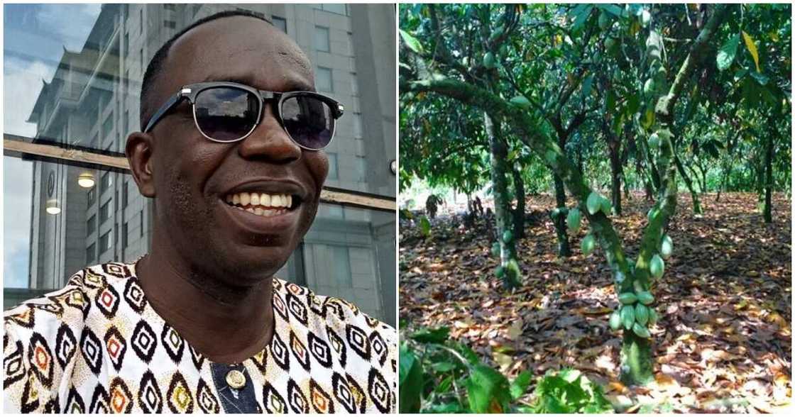 Ghanaian Man who created multi national company Ghanaian Man who created multi national company