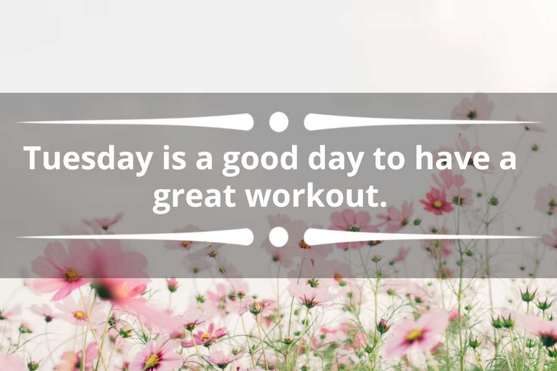 quotes about Tuesdays quotes about Tuesdays