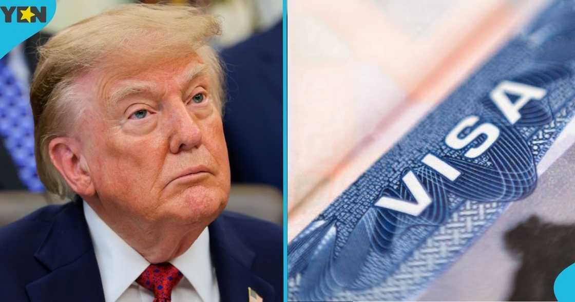 United States, US, America, Electronic System for Travel Authorization ESTA, foreign nationals, Visa-exempt travelers