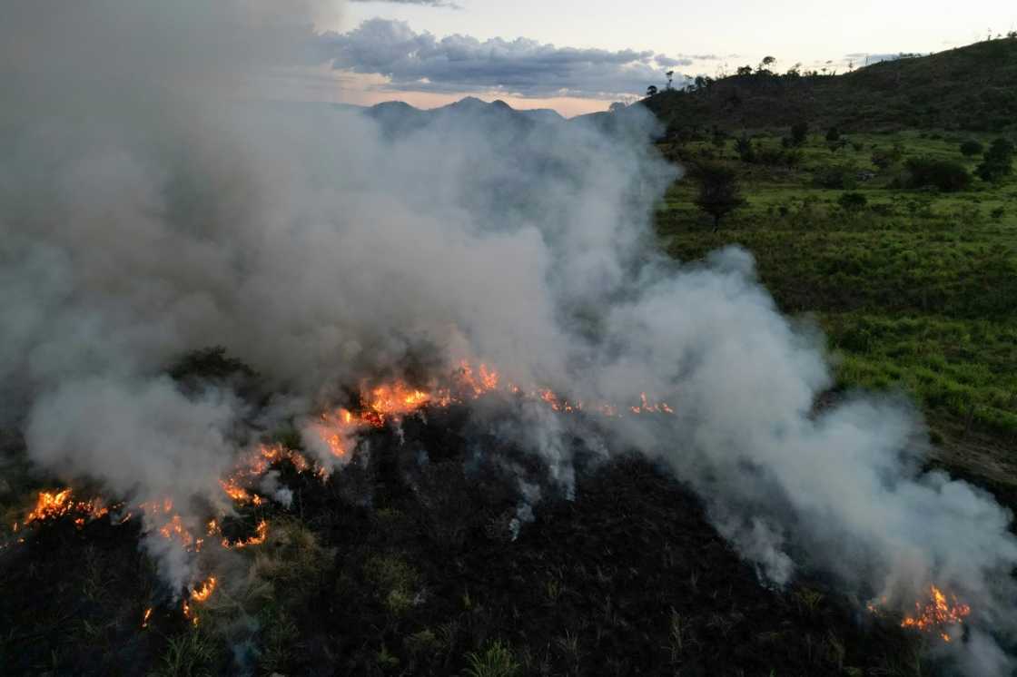 Field fires -- like this one in June 2025 in Sao Felix do Xingu, Para state, Brazil -- is a cheap way to clear pastures Field fires -- like this one in June 2025 in Sao Felix do Xingu, Para state, Brazil -- is a cheap way to clear pastures
