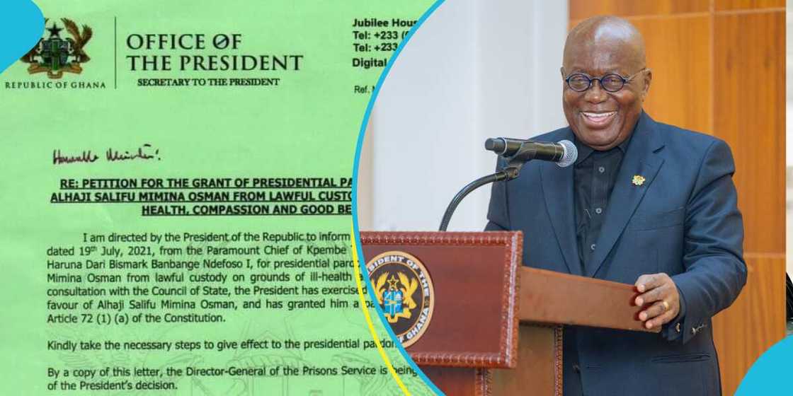 Akufo-Addo pardons Maham's appointee Akufo-Addo pardons Maham's appointee