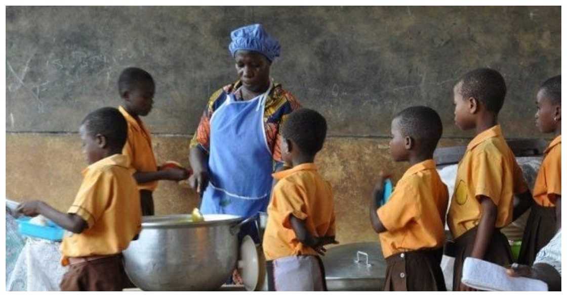 School feeding programme