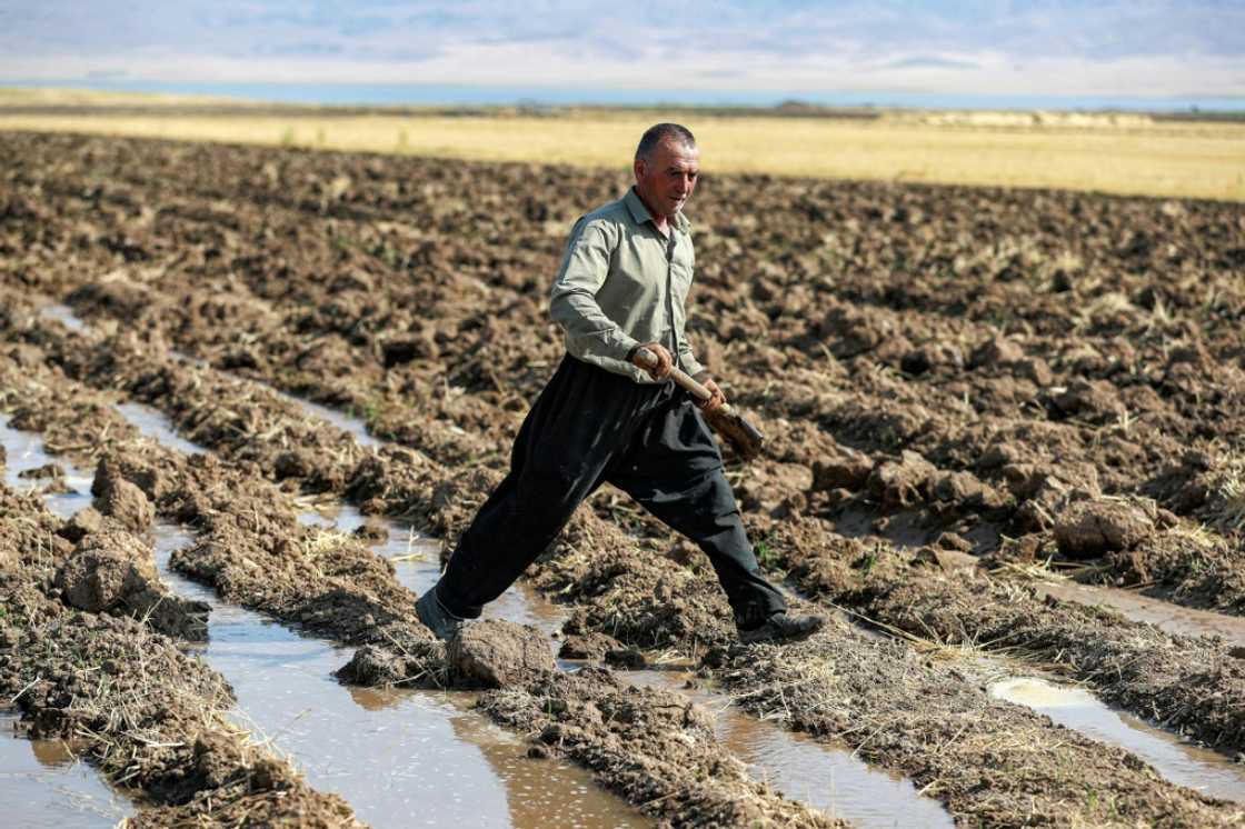 A Kurdish farmer digs with a shovel irrigation ditches for water supplied from a well, in the Rania district near the Dukan Dam A Kurdish farmer digs with a shovel irrigation ditches for water supplied from a well, in the Rania district near the Dukan Dam