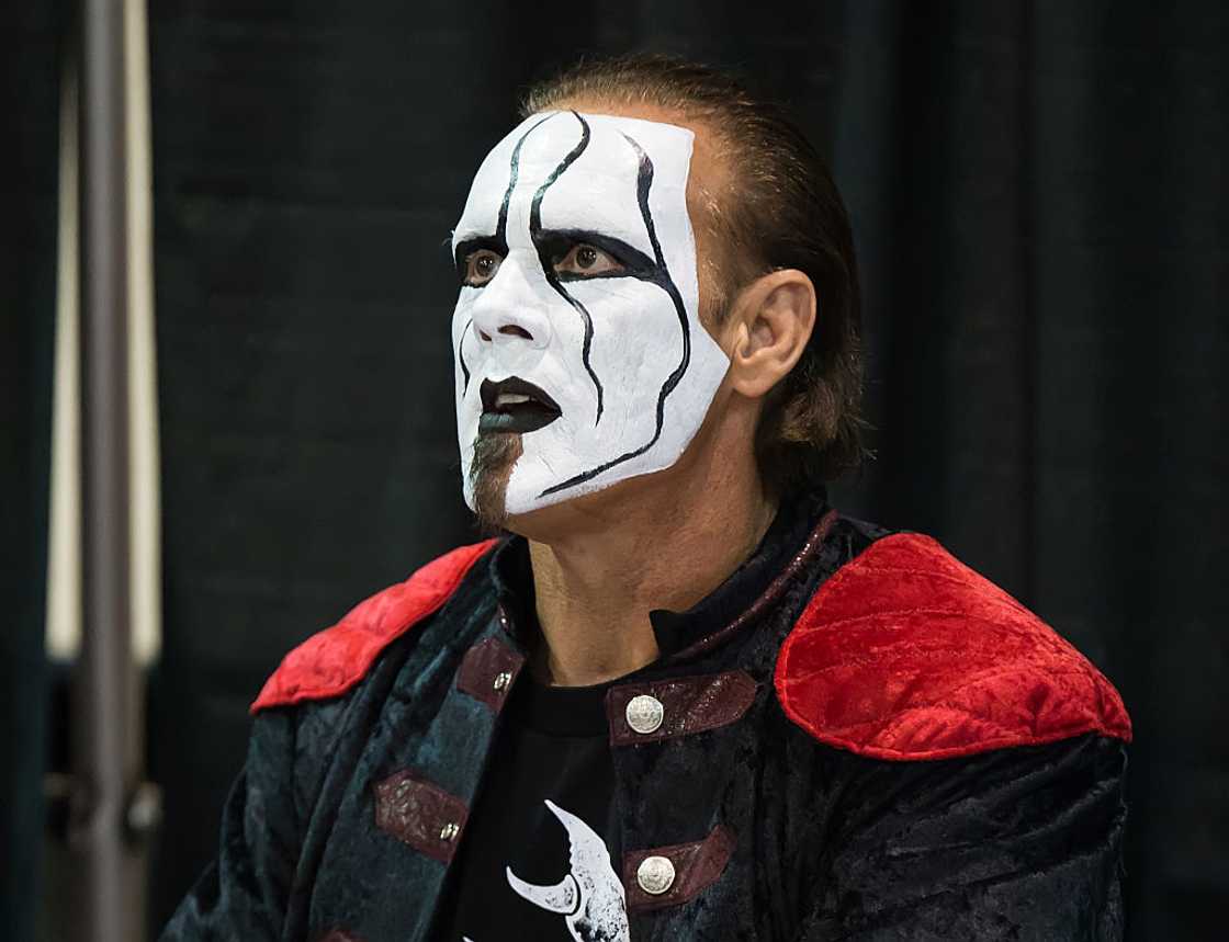WWE Professional Wrestler Steve Borden aka Sting in his black and white facial art WWE Professional Wrestler Steve Borden aka Sting in his black and white facial art