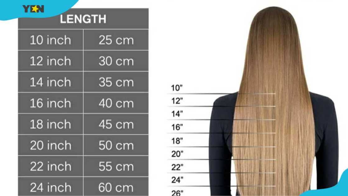 hair length chart hair length chart