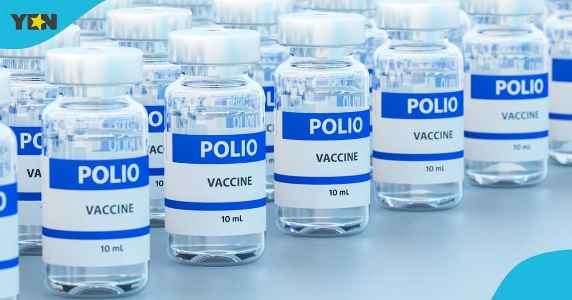 Health Director, Hygiene, Polio, Vaccine, Metropolitan Assembly Health Director, Hygiene, Polio, Vaccine, Metropolitan Assembly