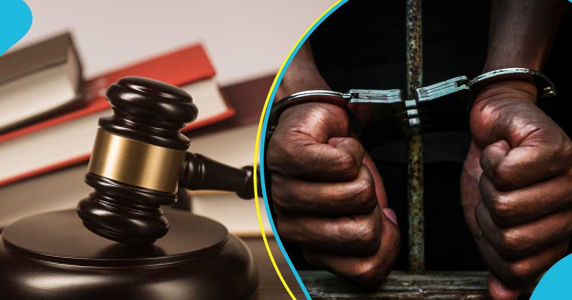 Western Togoland members jailed Western Togoland members jailed