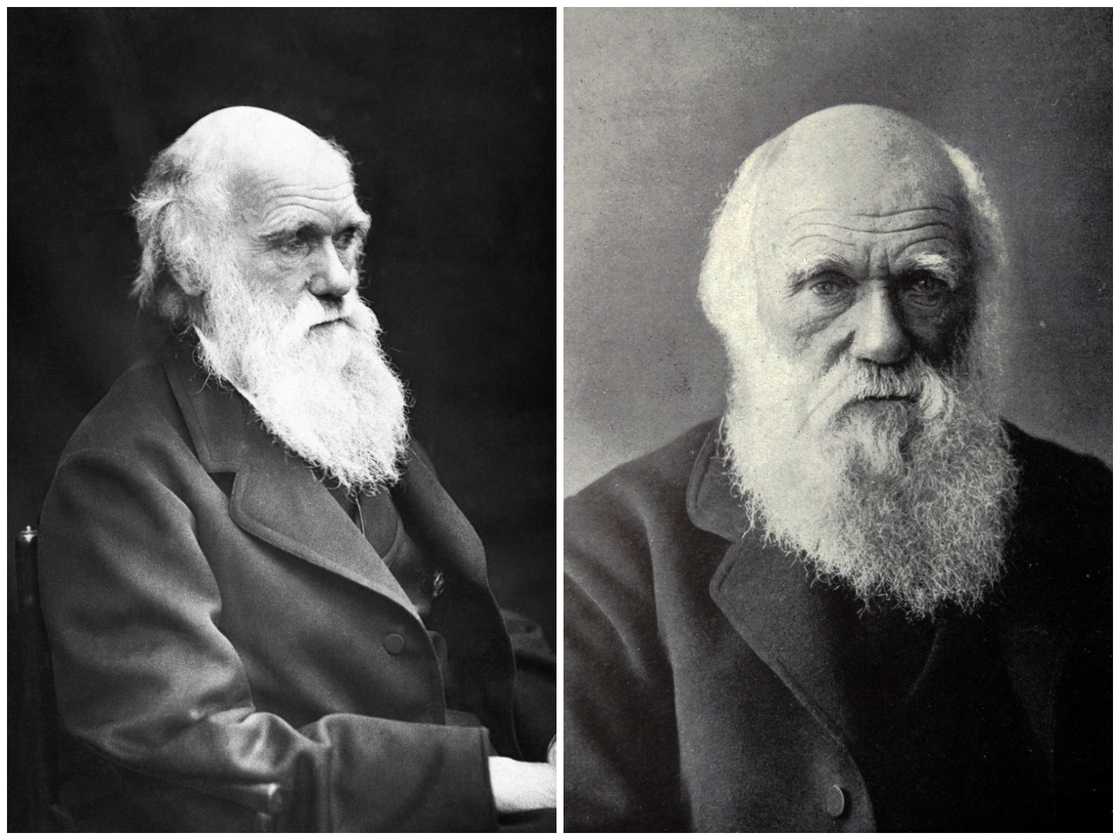Charles Darwin's potraits Charles Darwin's potraits